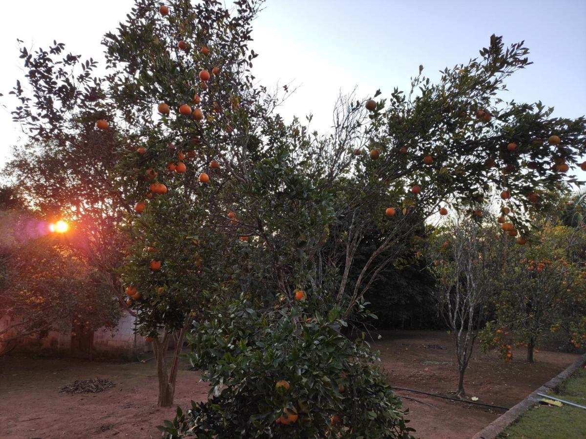 Casa De Campo Lazer Completo Paraiso De Reservas Naturais Em Sp Ibiúna Exteriér fotografie